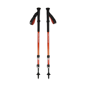 Bastoni da trekking